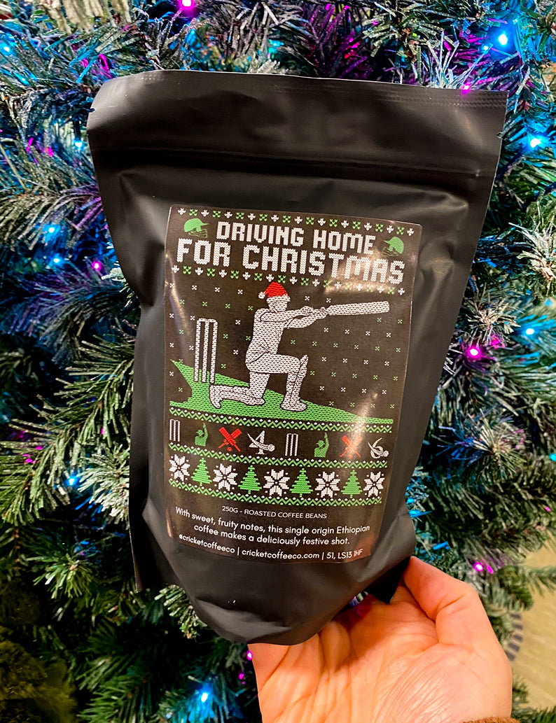 Driving Home For Christmas