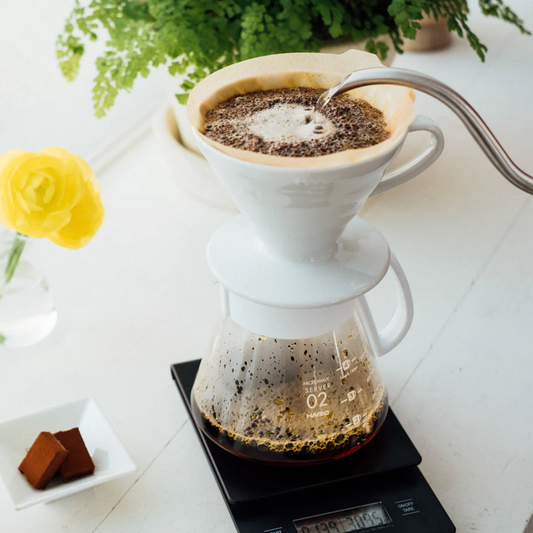 Hario V60 Starter Bundle (Dripper + 40 Filters)