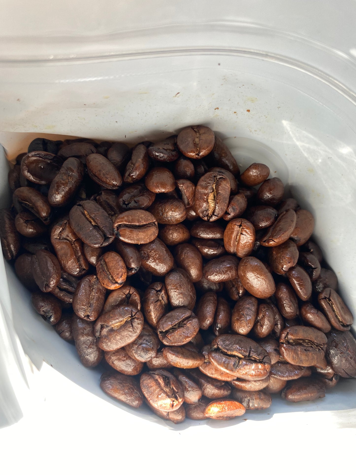 The Pavilion Blend (NotOut* Collab)